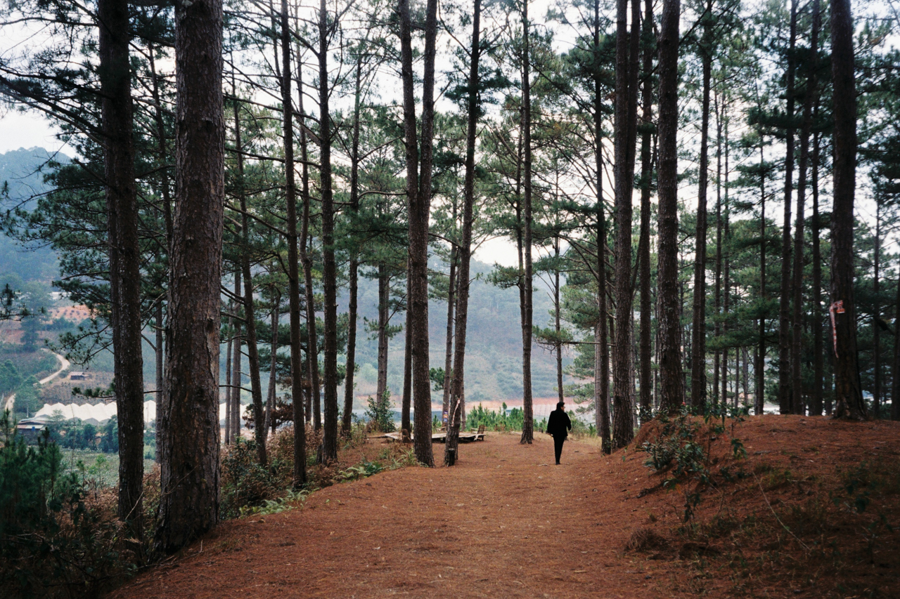 Cody in Da Lat forest