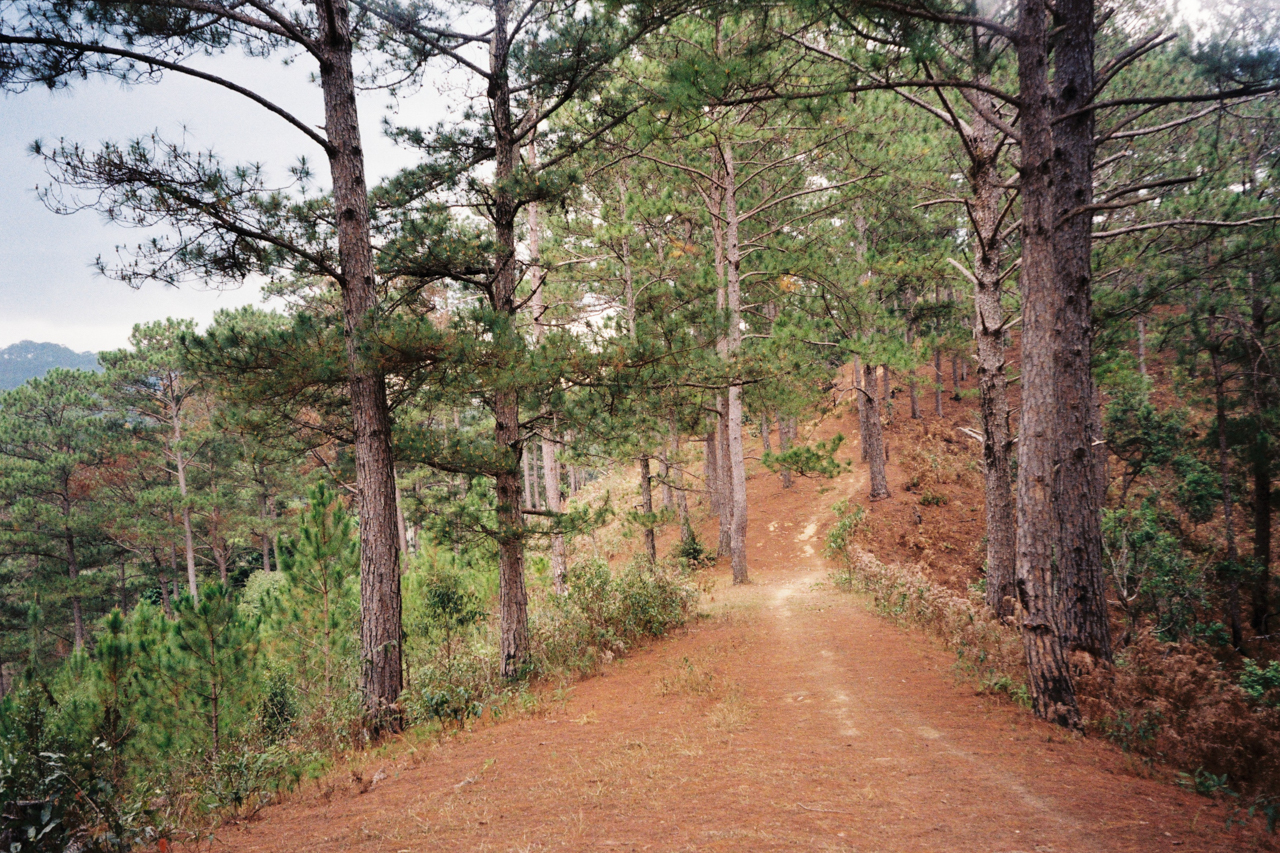 Twin Beans Farm hill