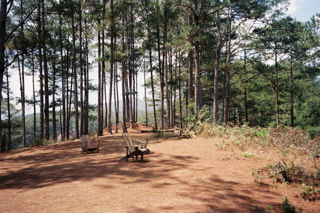 Twin Beans Farm hill